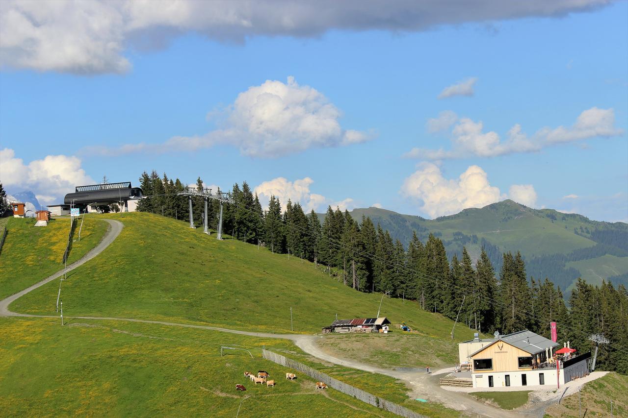 Schmiedhof Alm Hotel Zell am See Bagian luar foto